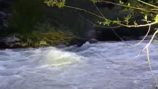 Nehirde kaybolan şahıs için arama çalışması başlatıldı