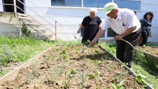 Nilüferde yaşlılar fideleri toprakla buluşturdu