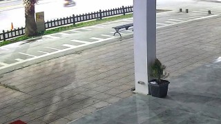 Nişanlı çiftin hayatını kaybettiği kazanın görüntüleri ortaya çıktı