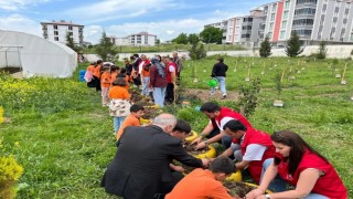Öğrenciler yetiştirdikleri fideleri toprakla buluşturdu