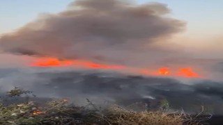 Oğuzelinde buğday tarlasında yangın