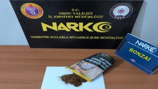 Orduda uyuşturucu operasyonlarında 1 tutuklama