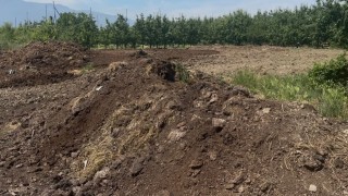 Organik gübre fiyatları geçen yıl ile aynı