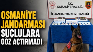 Osmaniye Jandarması Suçlulara Göz Açtırmadı