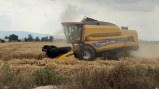 Osmaniyede 15 gün gecikmeli başlayan hasatta yüksek verim sevinci