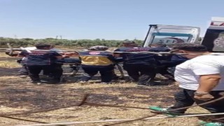 Osmaniyede anız yangını meyve bahçelerine sıçradı: 1 kişi hastanelik oldu