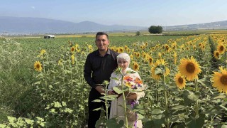 Osmaniyede ayçiçeği tarlaları yeni evli çiftlerin gözdesi oldu