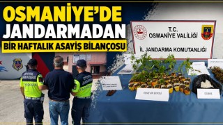 Osmaniye'de Jandarmadan Bir Haftalık Asayiş Bilançosu