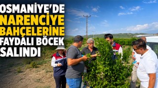 Osmaniye’de Narenciye Bahçelerine Faydalı Böcek Salındı