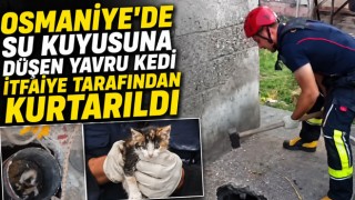 Osmaniye’de Su Kuyusuna Düşen Yavru Kedi İtfaiye Tarafından Kurtarıldı