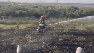Osmaniyede tankerin lastiklerinden çıkan yangın zeytin bahçesine sıçradı