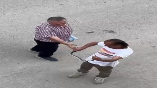 Paniğe sebep olan yılanı eliyle yakaladı