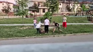 Parkta dolaştırılan köpeğe saldıran başıboş köpek, doktor tarafından etkisiz hale getirildi