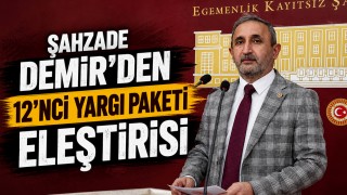Şahzade Demir’den 12’nci Yargı Paketi Eleştirisi