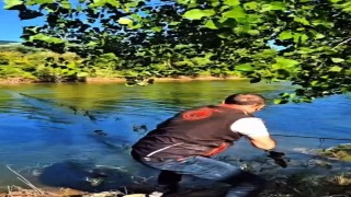 Sakaryada nehir ve göletlerdeki kaçak ağlar tek tek toplanıyor