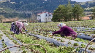 Samsunda 14 bin 358 üreticiye destek