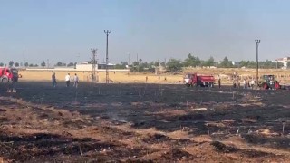 Şanlıurfada çıkan yangında 60 dönüm buğday ekili alan zarar gördü