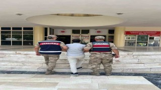 Şanlıurfa'da hırsızlık suçundan aranan hükümlü yakalandı