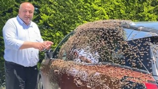 Şehir merkezinde otomobili arılar sardı