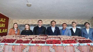 Selendide kirazın en iyisi seçildi