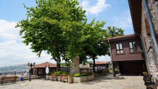 Sembol caminin 6 asırlık çınarı yıldırımlara rağmen ayakta
