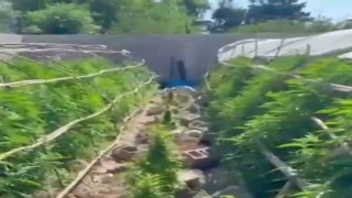 Seraları uyuşturucu üretim tesisine çeviren şahıslara operasyon