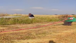 Şerare yapan elektrik telleri yangına sebep oldu