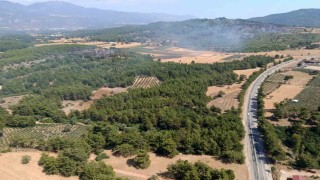 Seydikemerdeki orman yangını kontrol altına alındı