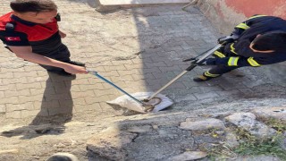 Siirtte 1 buçuk metrelik yılan evin bahçesinden çıktı