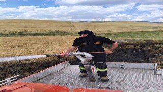 Silvanda 2 dönümlük ekili alan kül oldu
