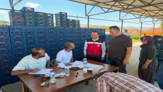 Simav İlçe Tarım ve Orman Müdürlüğünden kiraz alım merkezlerine ziyaret