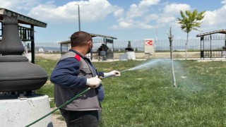 Sincan Belediyesinden yaz aylarına özel ilaçlama
