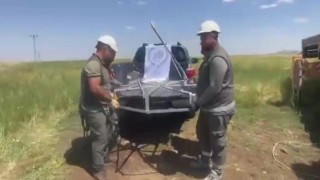 Şırnakta göç yolundaki leyleklere güvenli yuva