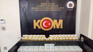 Şırnakta kaçak ilaç ve serum operasyonu: 2,5 milyon liralık tıbbi ürün ele geçirildi