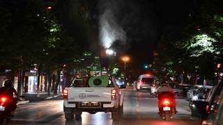 Sivrisineklere karşı eş zamanlı ilaçlama