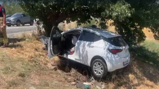 Sollama yaparken ağaca çarptı: 4 ağır yaralı