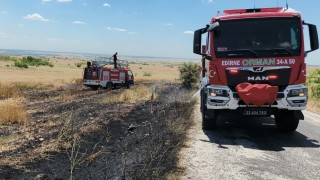 Süloğlunda tarla yangını: Buğday ekili alan zarar gördü