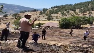 Tarım arazisi alevlere teslim oldu, yangında elektrik dağıtım şirketinin ihmali olduğu ileri sürüldü