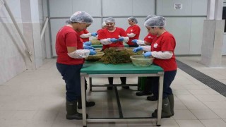 Tarımsal Ürün Fabrikası ile kadınlar üretiyor Efeler kazanıyor