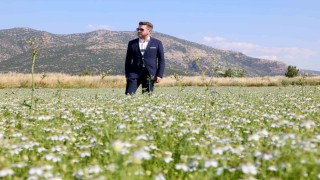 Tavasta karacaot ekiminde verimlilik testi yapılıyor