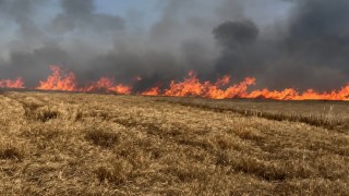 Tekirdağ'da 400 dönüm buğday ekili alan yandı