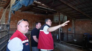 Tekirdağda hayvancılık faaliyetleri yerinde incelendi