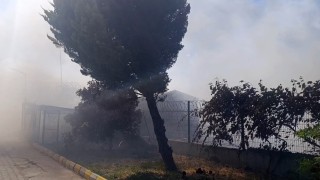 Tekirdağ'da tarım arazisinde başlayan yangın: Alevler 4 farklı noktaya sıçradı