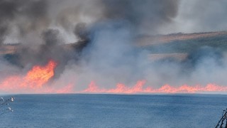 Tekirdağ'da tarım arazisinde korku dolu anlar