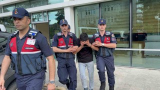 Televizyon hırsızlığı zanlısı, jandarma ekiplerince yakalandı