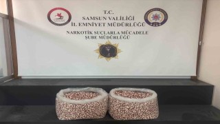 Tırın yatak bölümünde 129 bin 500 uyuşturucu hap ele geçti