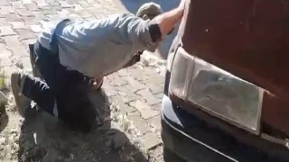 Tokatta aracın motor kısmına giren yılanı itfaiye ekipleri kürekle yakaladı