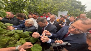 Trabzonda kahverengi kokarcaya karşı doğal ordu göreve başladı