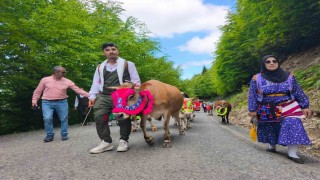 Trabzonun Şalpazarı ilçesinde geleneksel yayla göçü başladı