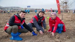 Türk Kızılay ve Tarım ve Orman Bakanlığı iş birliğinde Hastaya kan ormana can projesi devam ediyor